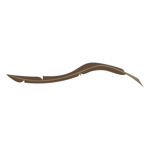 Pluma larga marrón Diseño PNG