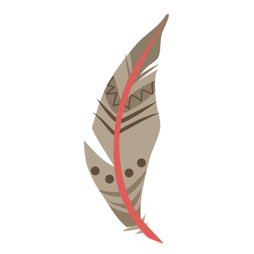 Patterned brown feather
