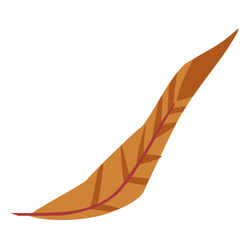 Simple brown colored feather PNG Design