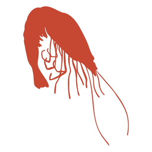 Shrimp curved silhouette