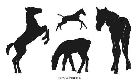 Paquete de silueta de ternero de caballo