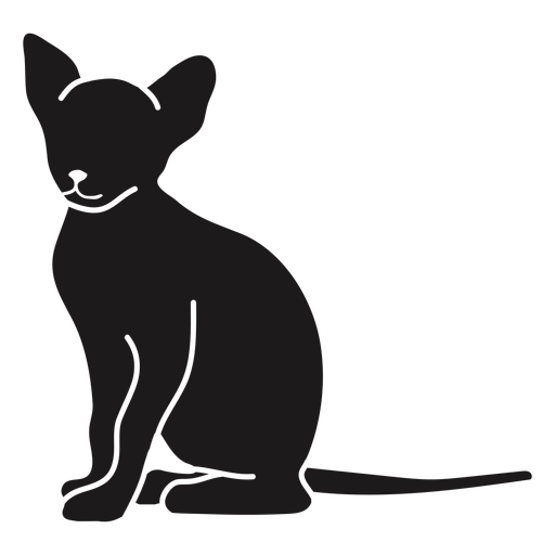 Calm cat sitting silhouette
