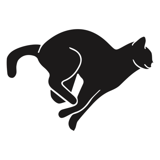 Gato PNG Imagens com fundo transparente