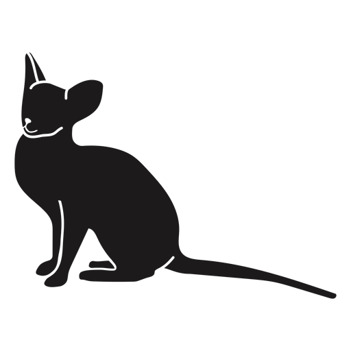 Silueta de cola larga de gato Diseño PNG