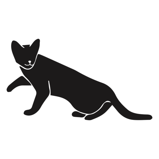 Cat looking side animal silhouette PNG Design