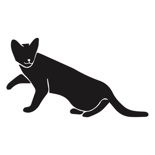 Katze die seitentierschattenbild schaut PNG-Design