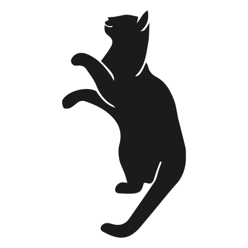Gato mirando silueta animal Diseño PNG
