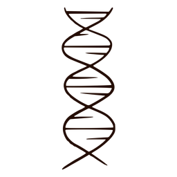 Genes de DNA desenhados à mão Desenho PNG