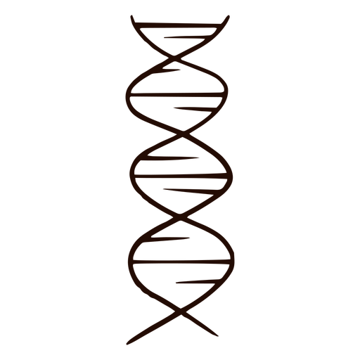 Dna Genes Hand Drawn Transparent Png Svg Vector File