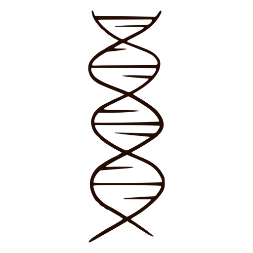 Genes de DNA desenhados ? m?o Desenho PNG