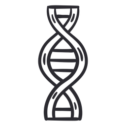 Dna chain sketch - Transparent PNG & SVG vector file