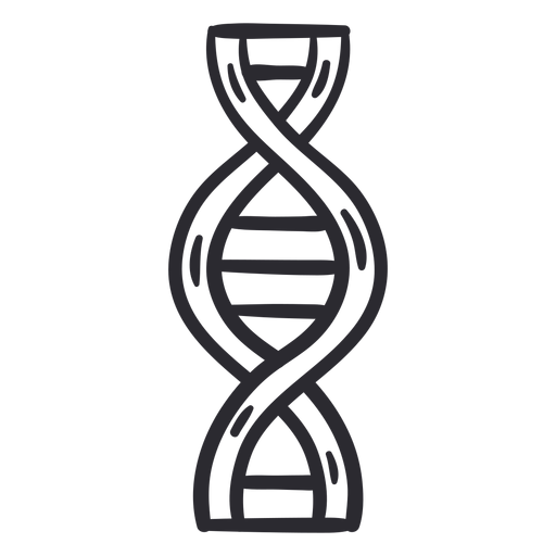 Dna Genes Stroke Transparent Png Svg Vector File Bank Home Com