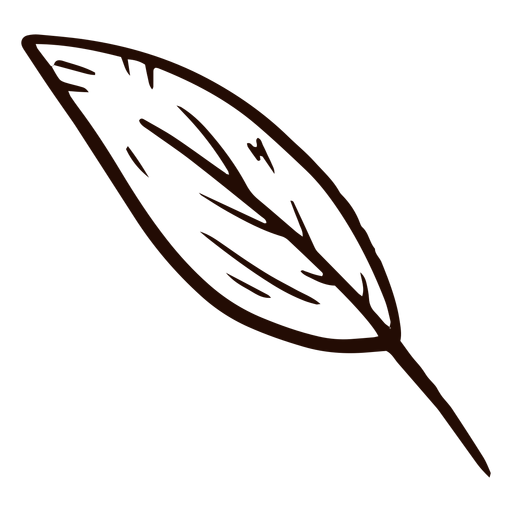 Feather quill hand drawn PNG Design