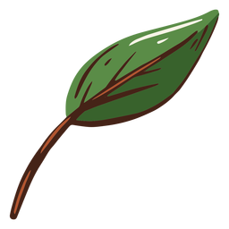 Green leaf illustration leaf PNG Design