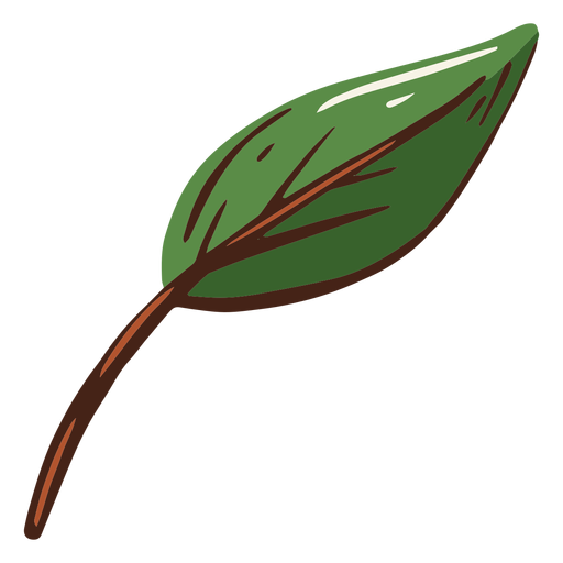 Hoja de ilustración de hoja verde Diseño PNG
