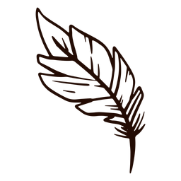 Dibujado a mano pluma pluma Diseño PNG