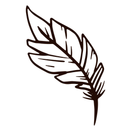 Quill feather hand drawn Transparent PNG