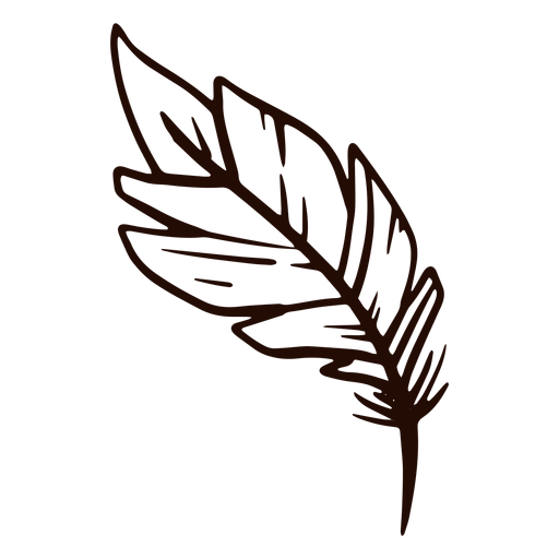 Quill feather hand drawn PNG Design
