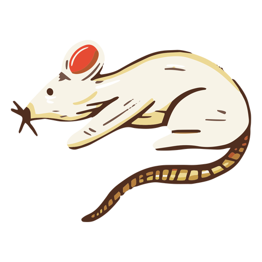 Ilustración animal rata Diseño PNG