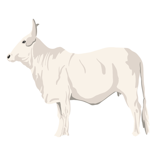 Ilustración de animal Toro Diseño PNG