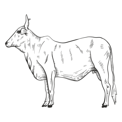 Bull side black and white PNG Design