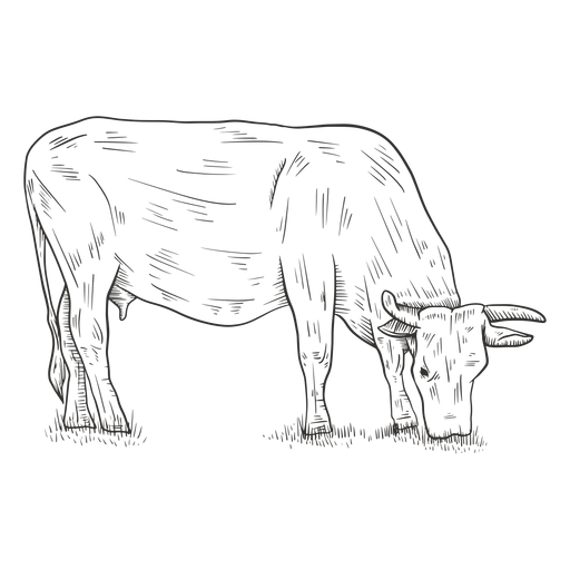 Eating cow black and white PNG Design