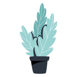 Houseplant black pot illustration Houseplant black pot illustration