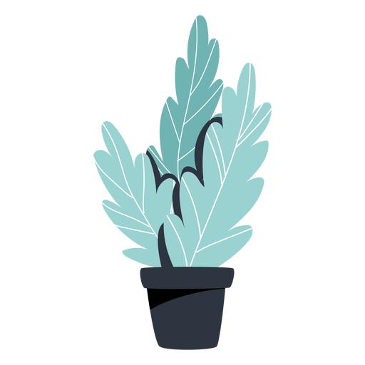 Ilustración de maceta negra de planta de interior - Descargar PNG/SVG