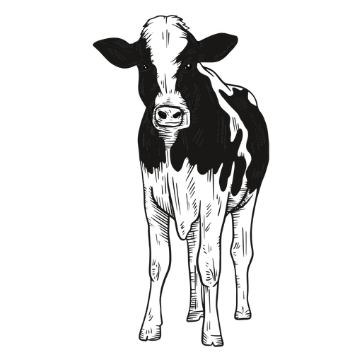 Ilustración de vaca mirando al frente Diseño PNG