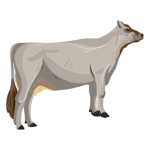 Standing cow animal illustration PNG Design