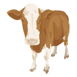 Ilustração da frente da vaca em pé
