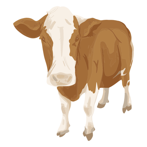 Ilustração da frente da vaca em pé Desenho PNG