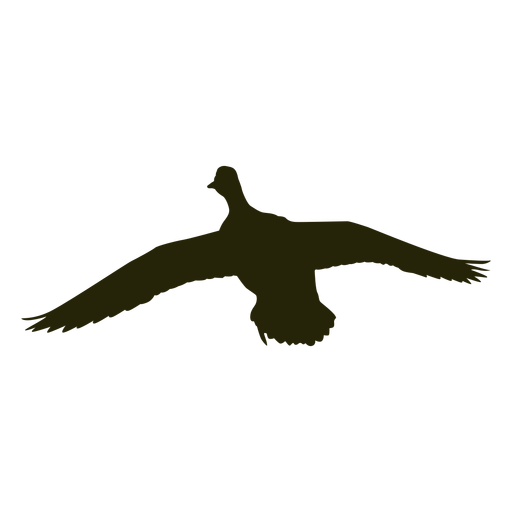 Hunting goose front wings spread flying PNG Design