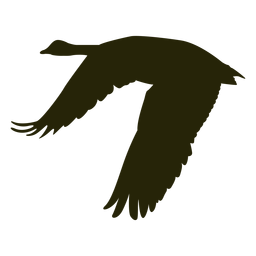 Asas de ganso espalham silhueta Desenho PNG