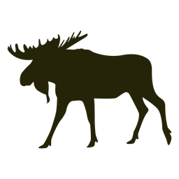 Hunting moose left facing walking Transparent PNG