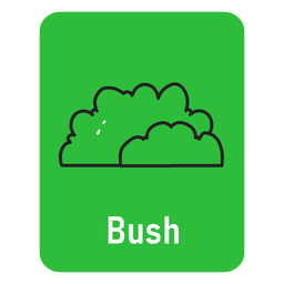 Bush green flashcard PNG Design Transparent PNG