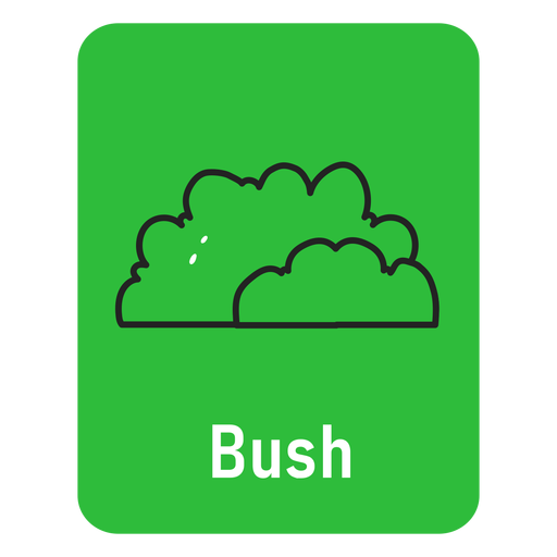 Flashcard verde Bush