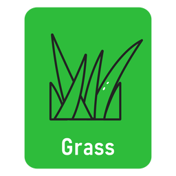 Grass green flashcard PNG Design