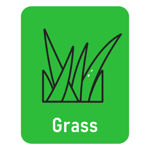 Flashcard Grass Green Desenho PNG