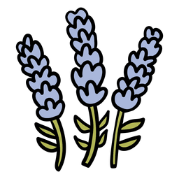 Flor de lavanda desenhada à mão Desenho PNG