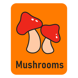 Mushroom orange flashcard Mushroom orange flashcard