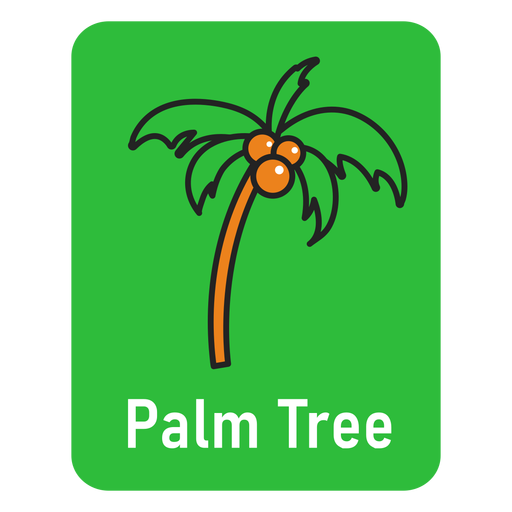 Flashcard verde palmeira Desenho PNG