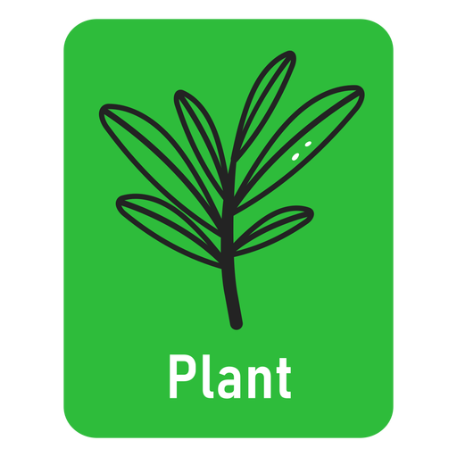 Flashcard verde da planta Desenho PNG