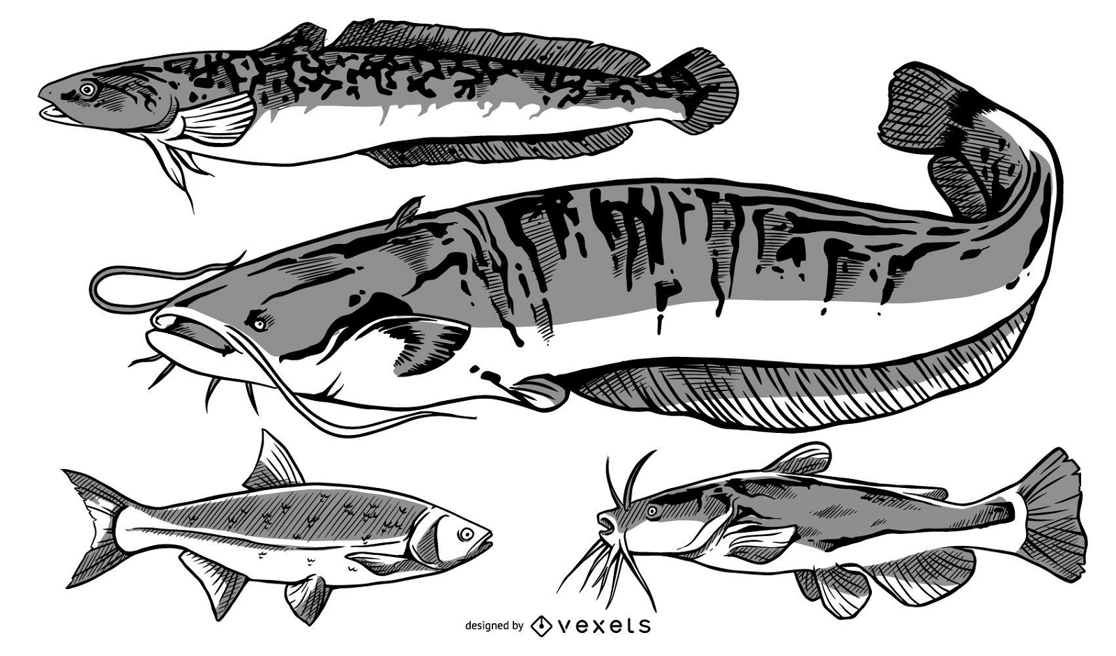 Pacote de ilustração de peixes de rio