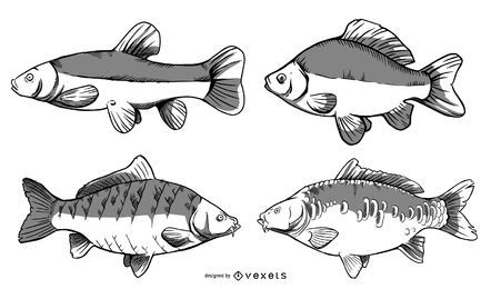 Paquete de dibujo de peces de río Paquete de dibujo de peces de río