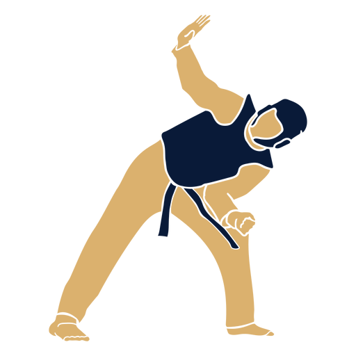 Taekwondo man defending flat