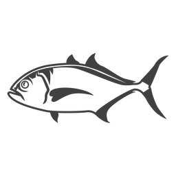 Amberjack fish illustration Amberjack fish illustration