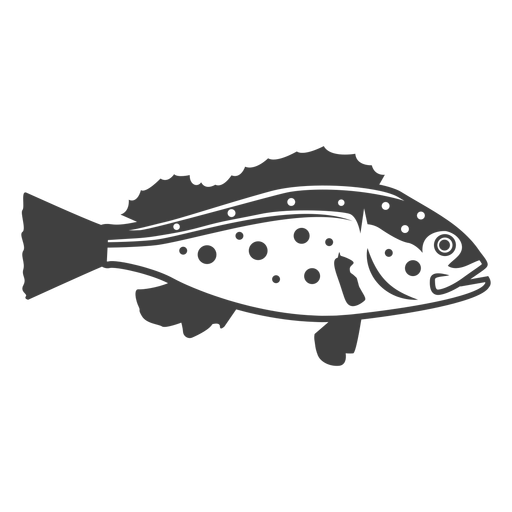 Bass fish illustration