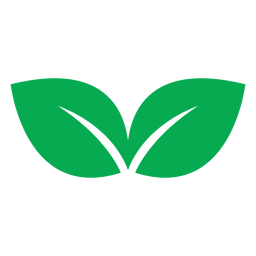 Icono de dos hojas verdes Diseño PNG
