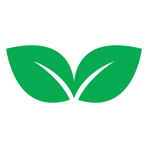 Green two leaves icon